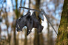 Hanging Bat Garden Metal Art. - MetalCraft