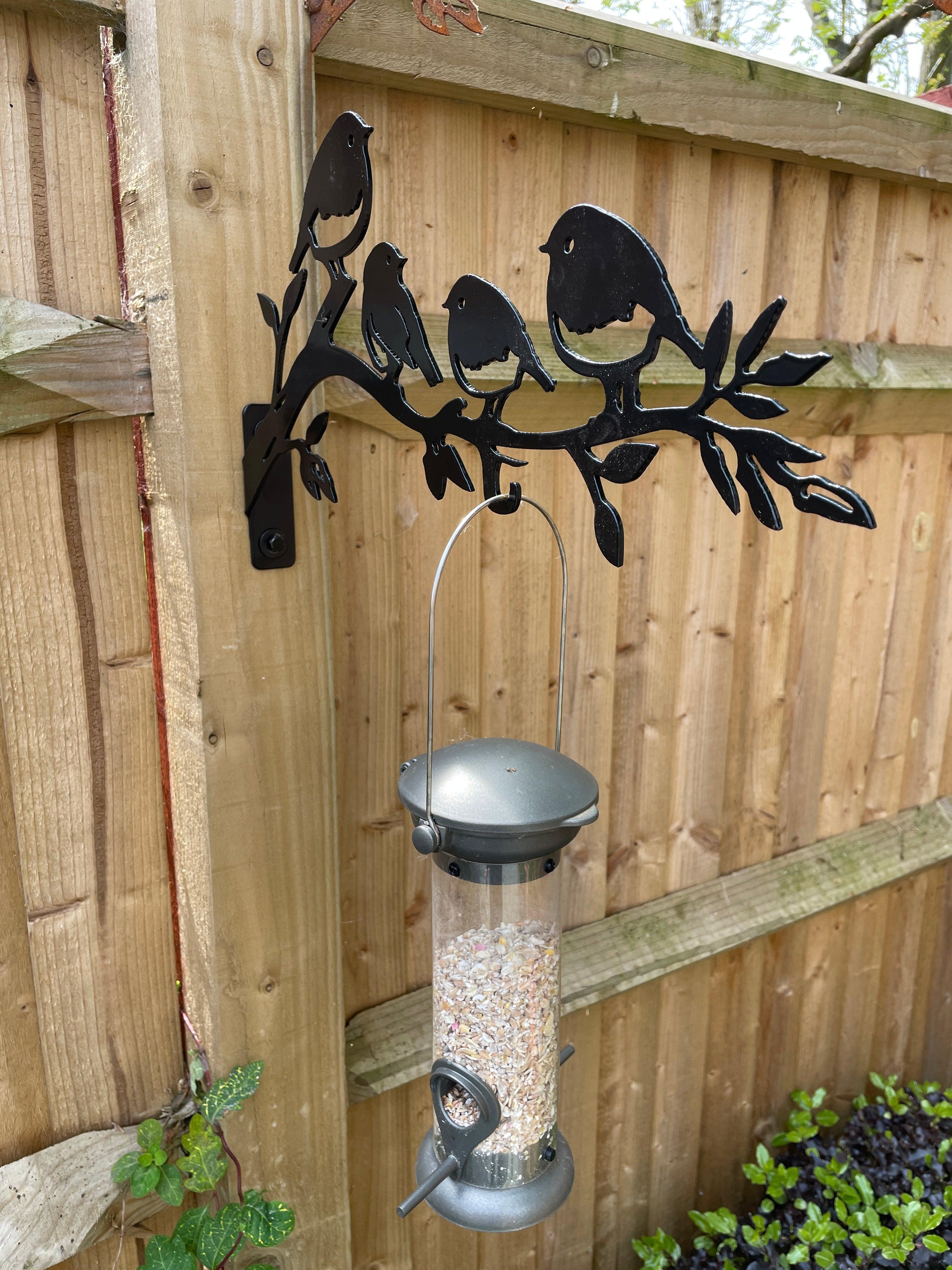 Robin deals bird feeder